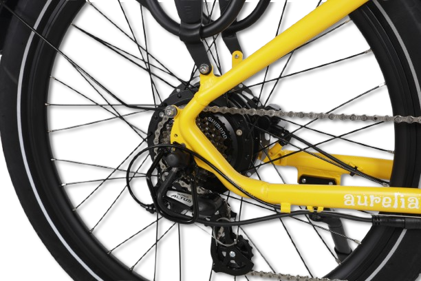 Product Gallery Image - #9